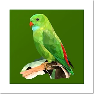 Parrot LowPoly Posters and Art